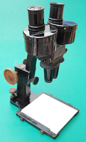 wp7c8d921c.jpg
